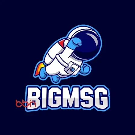 Logo bigmsg